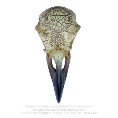 Omega Raven Skull