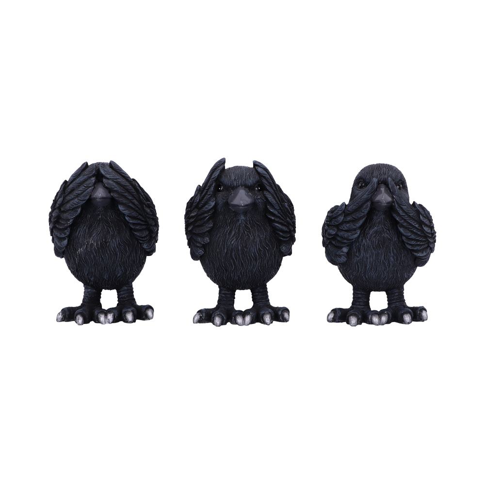 Three Wise Ravens - B6023V2