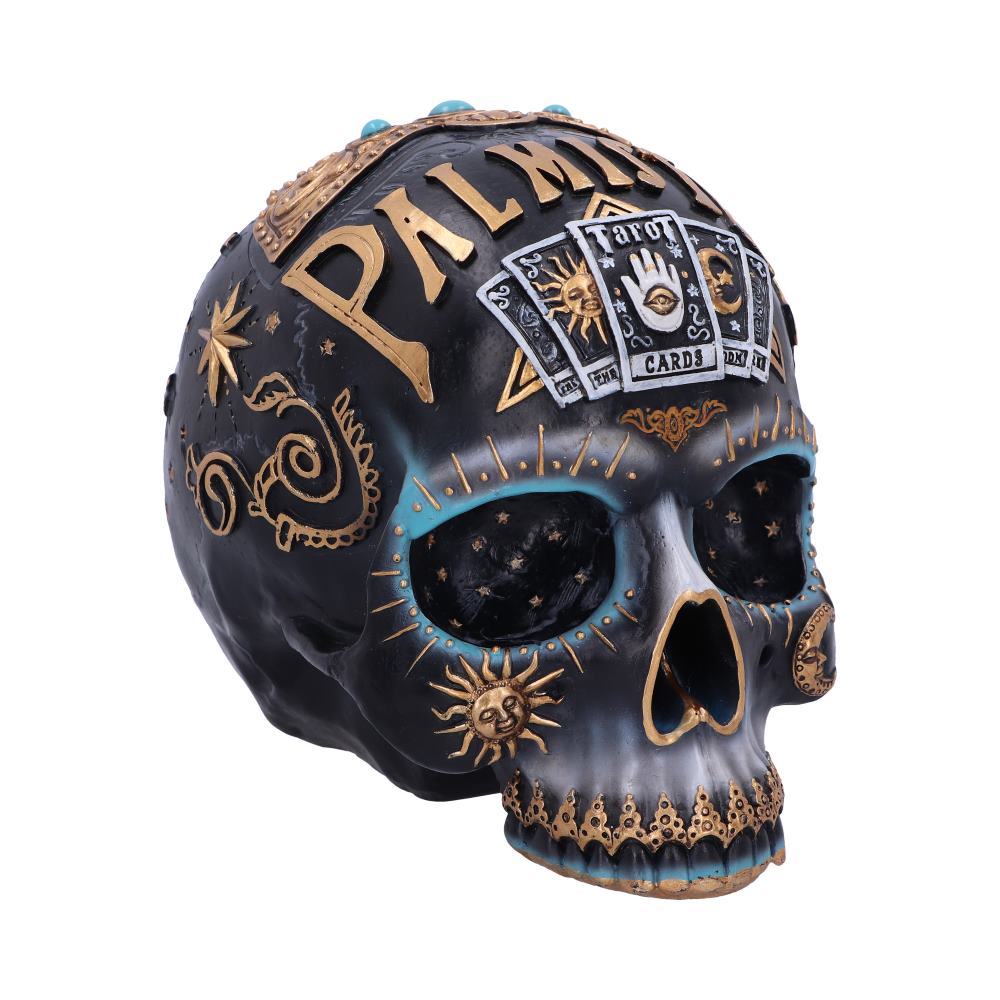 Destiny Skull - B6095W2