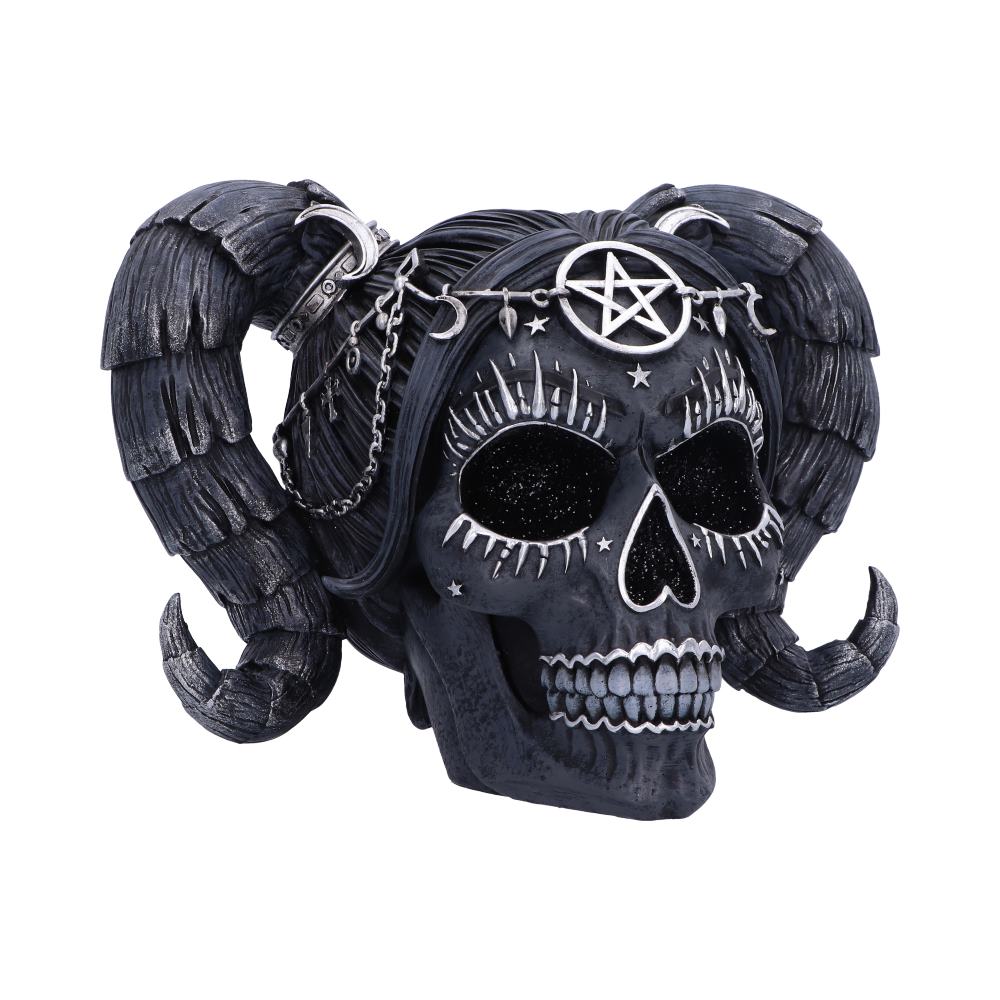 Drop Dead Gorgeous - Solve and Coagula Skull - B6591Y3