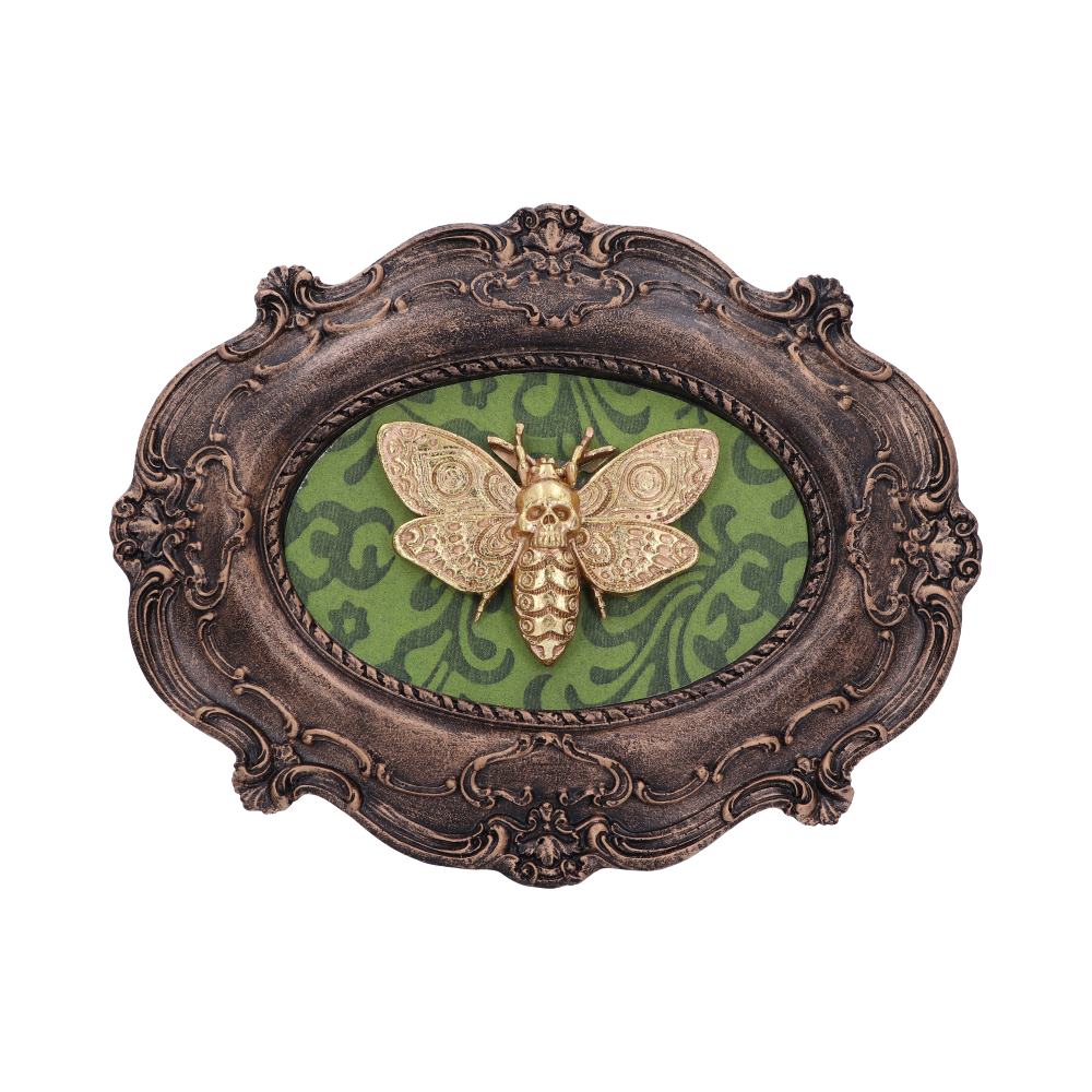 Moth Macabre Wall Plaque - D5067R0