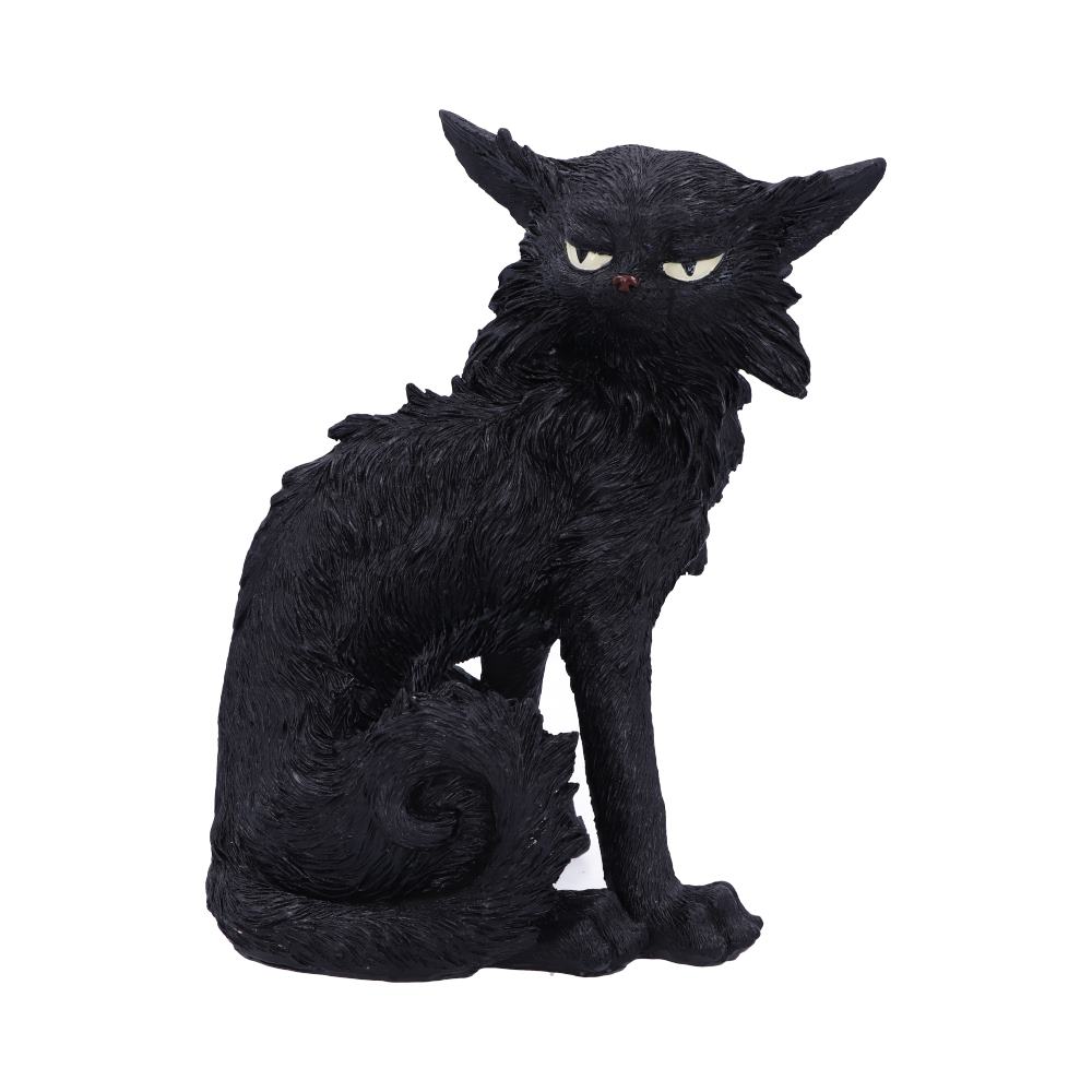 Salem Black Cat - D5526T1