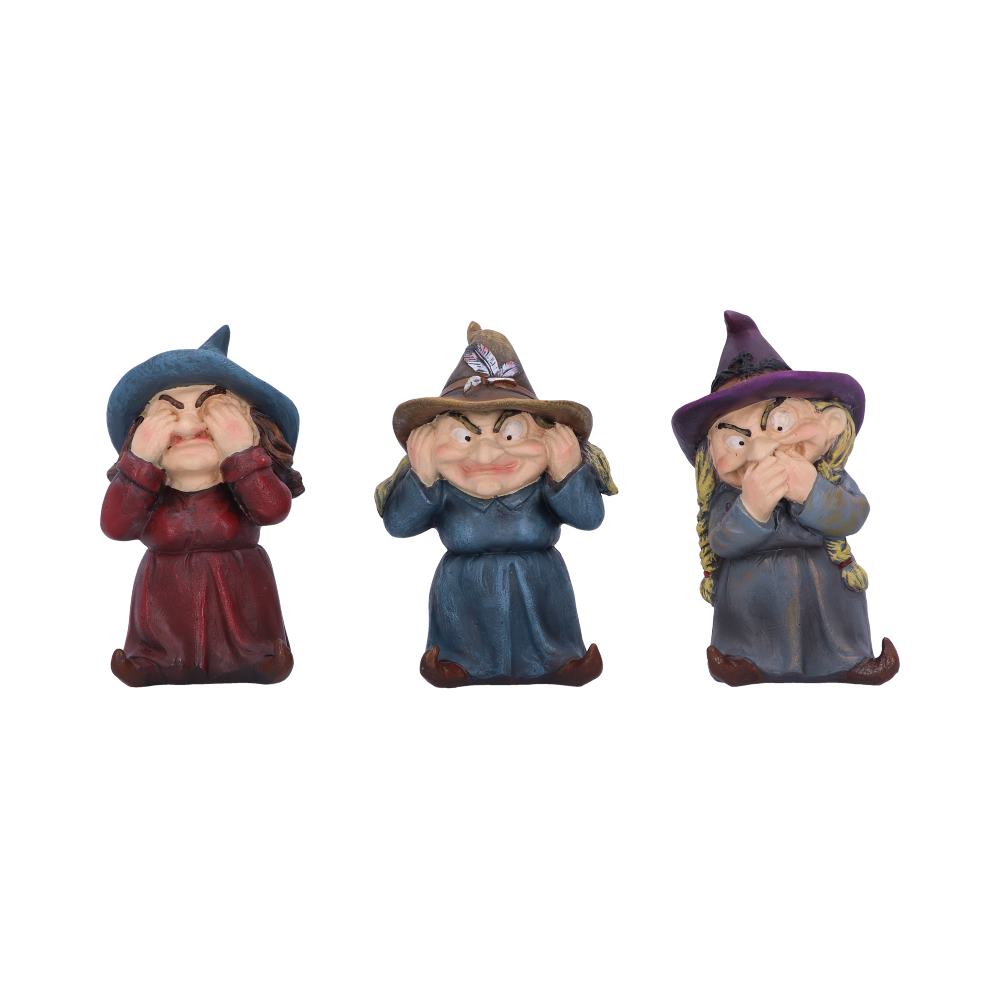 Three Wise Witches - D5953V2
