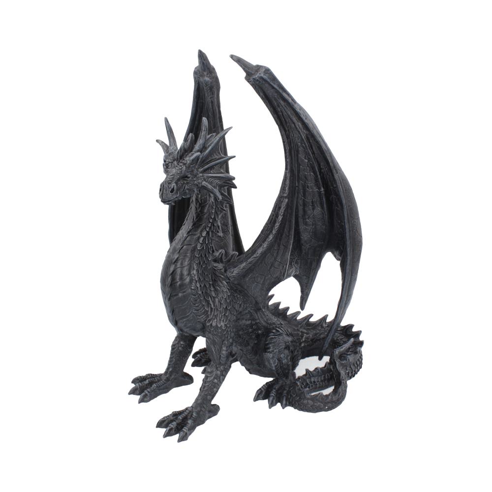 Black Wing Dragon - U4530N9