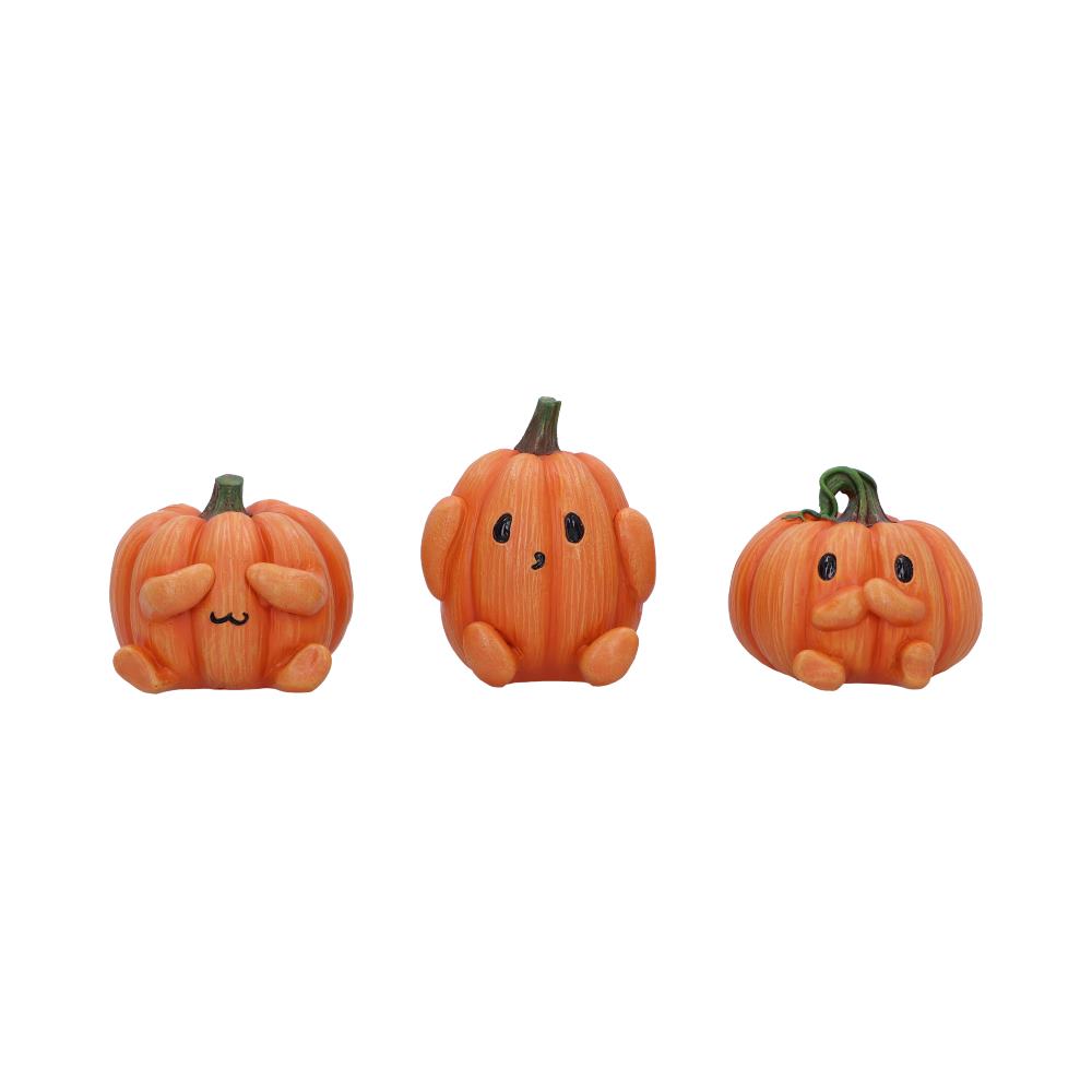 Three Wise Pumpkins - B7230C25