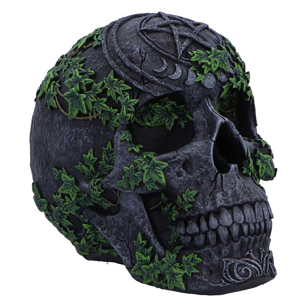 Aged Pentagram Skull - B7366A26