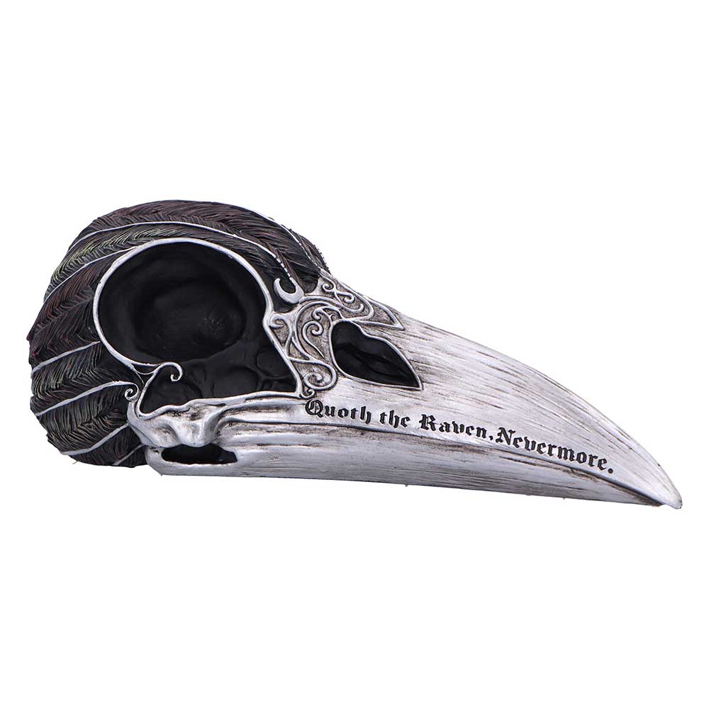 Quoth The Raven Skull - B7367A26