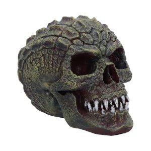Reptillian Skull 17cm