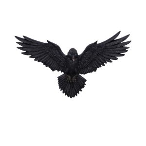 Flight of the Raven Wall Plaque 35cm