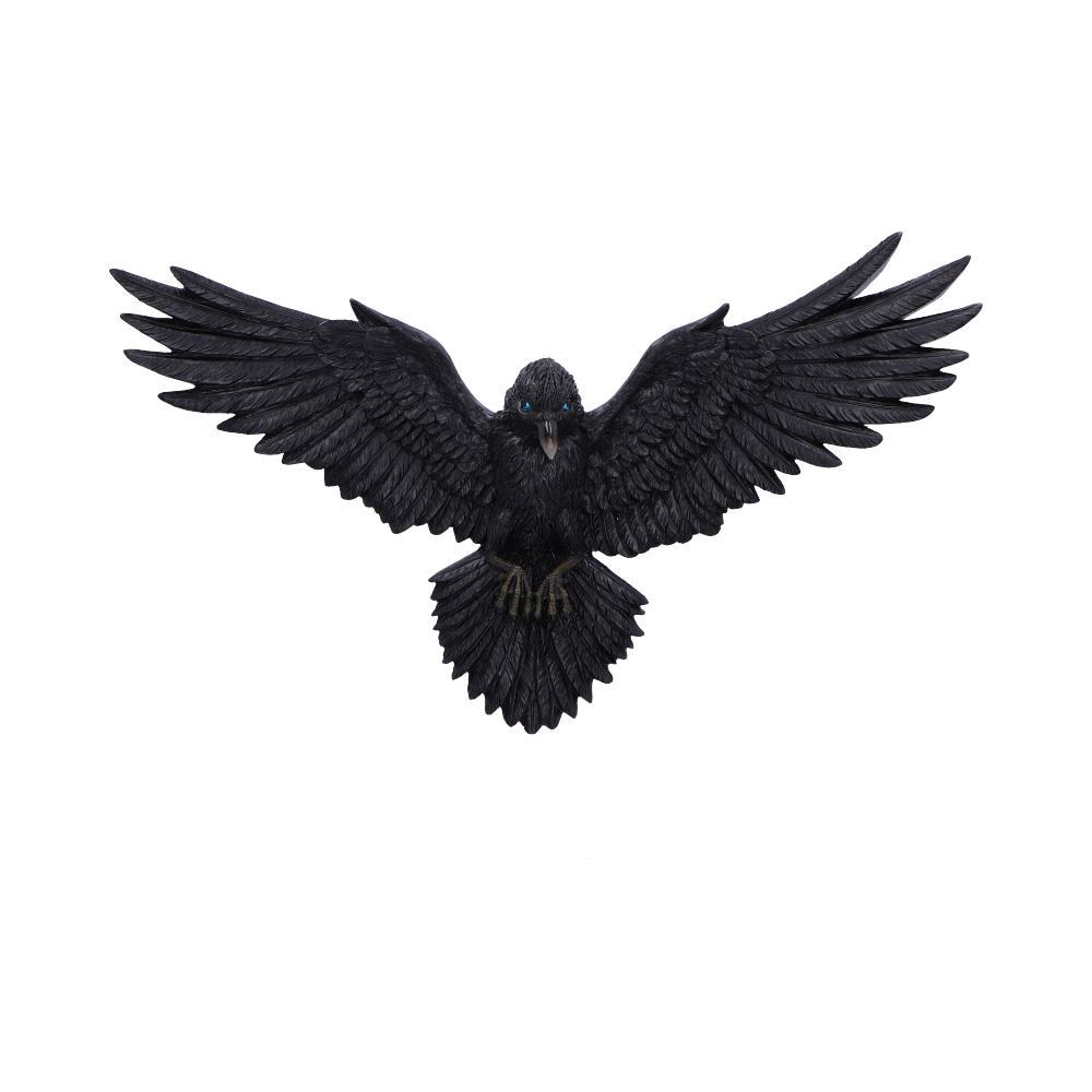 Flight of the Raven Wall Plaque - U7043M25